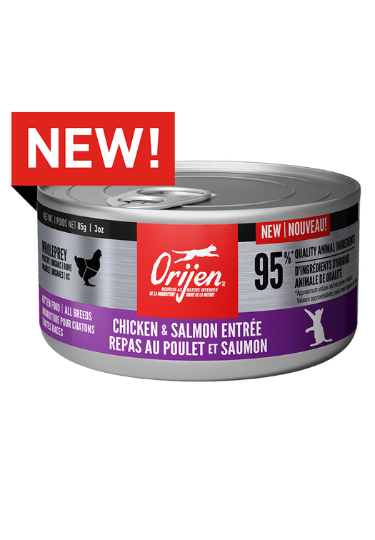 Chicken & Salmon Entrée Wet Food for Kittens
